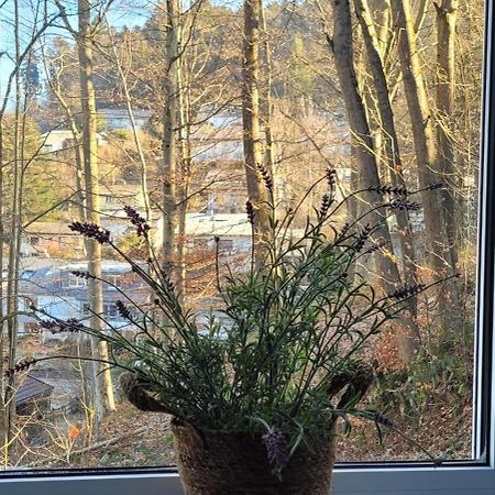 Apartamento Am Wald Waldkirch Exterior foto